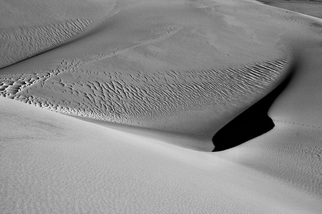 Colorado (Dune and animal tracks), 2024