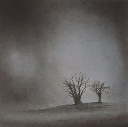 The Haunted Trees
