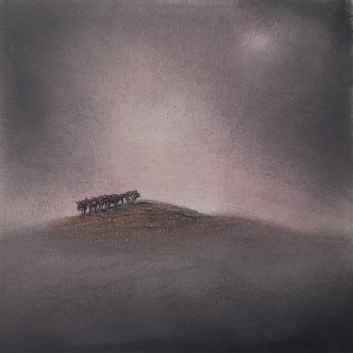 Wild Places #30