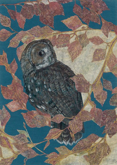 Late Night Tales, Tawny Owl