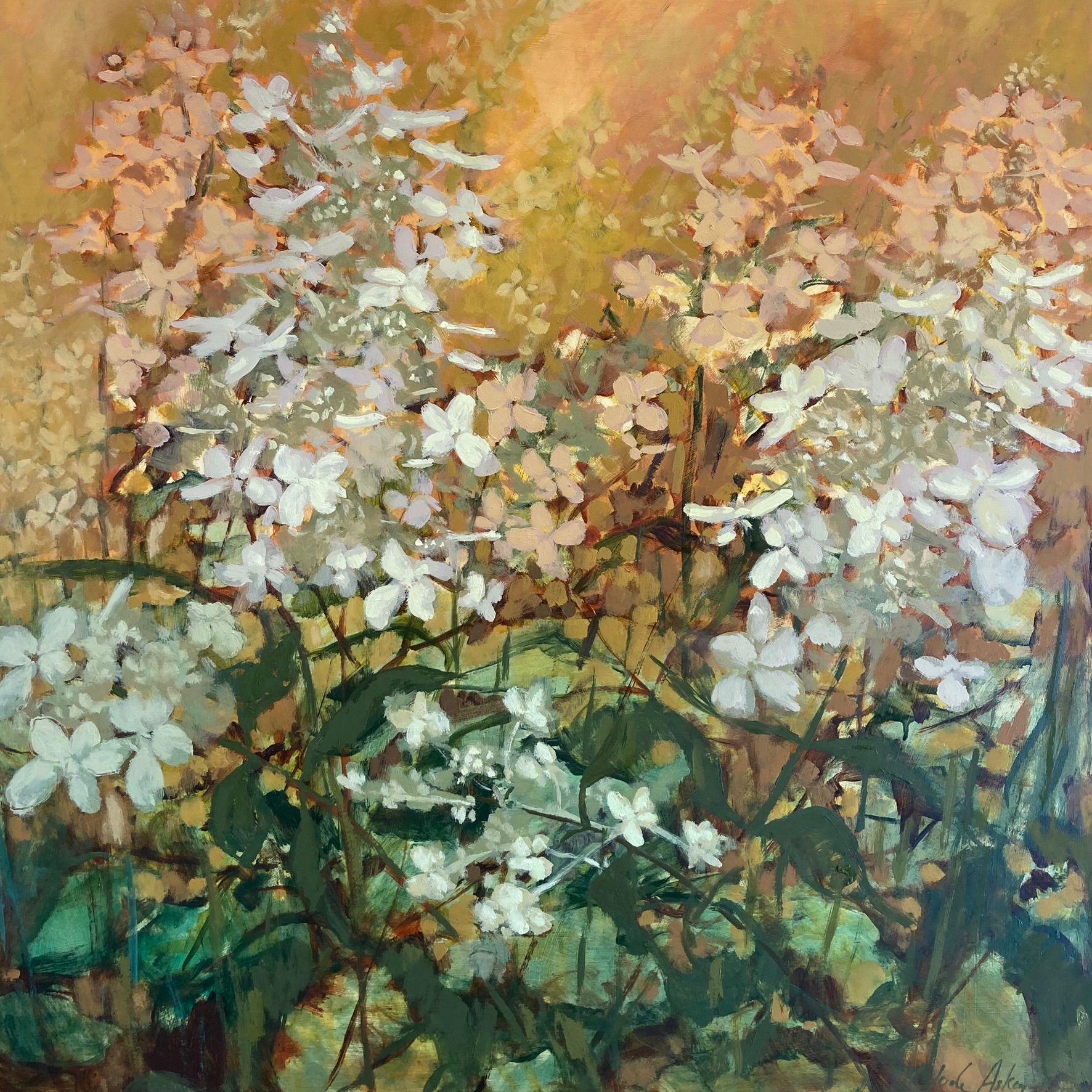 Evening Sun