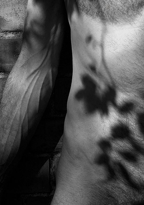 Male form, 2026
