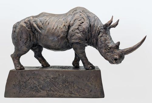 White Rhino