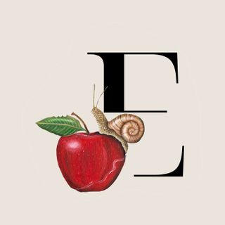 Exhibitor profile image for Emily Carew Woodard
