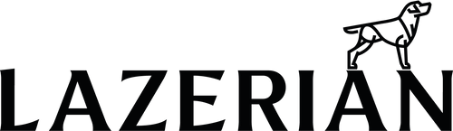 Lazerian