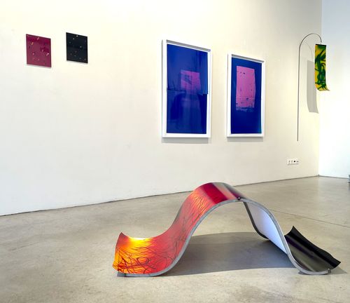 DAVID PENNY: Soft Fields