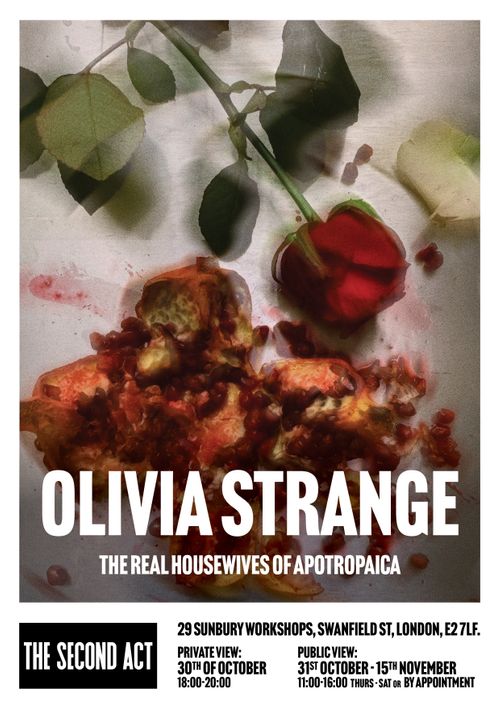 Olivia Strange Presents 'The Real Housewives of Apotropaica'