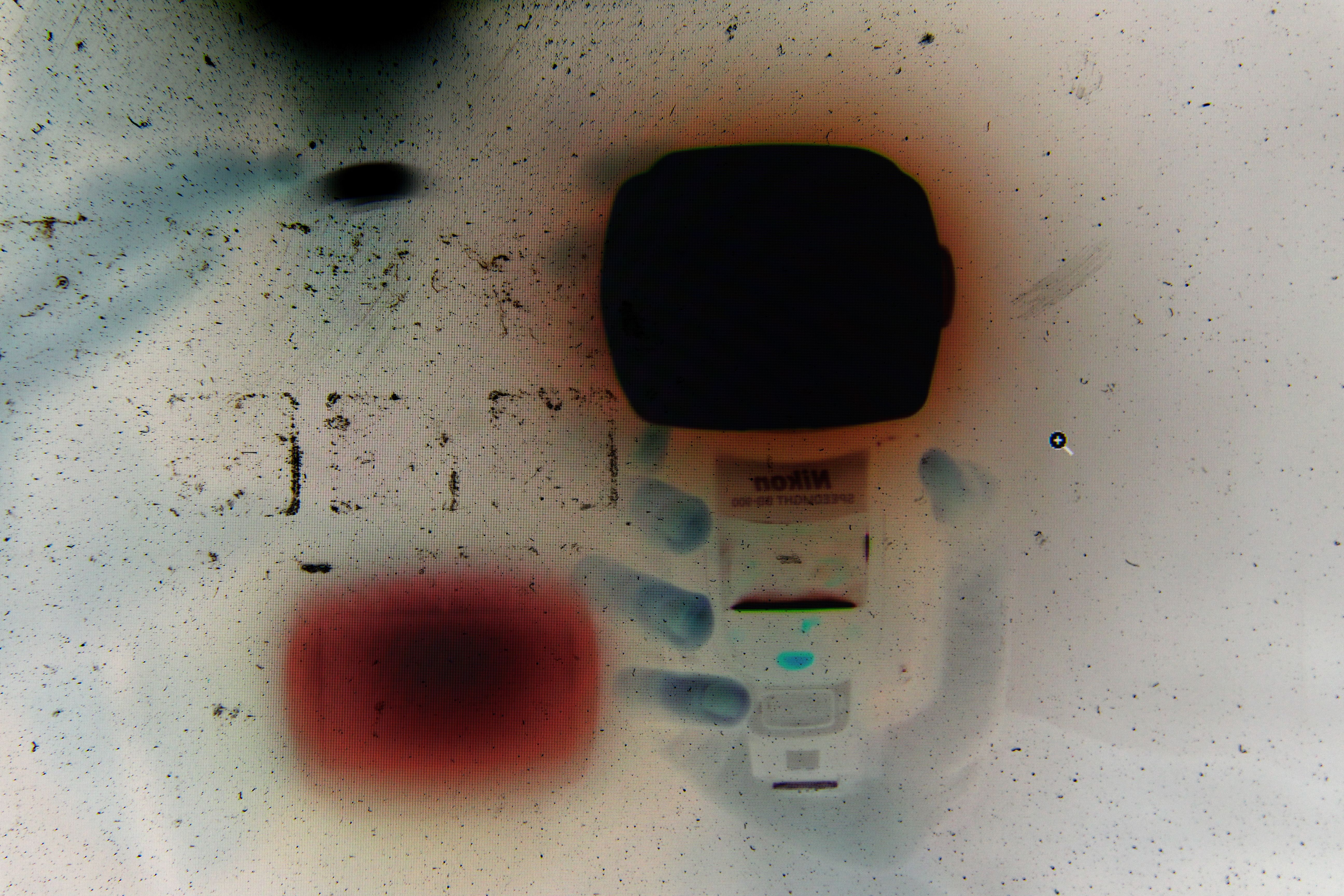 Anna Barham Solo Exhibition Badischer Kunstverien, Karlsruhe, DE