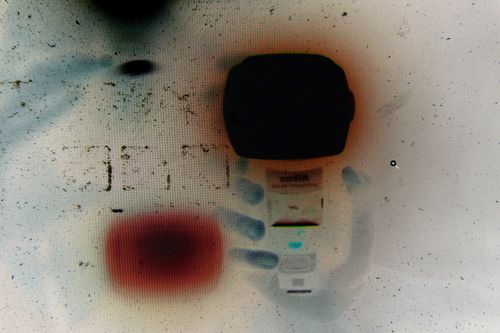 Anna Barham Solo Exhibition Badischer Kunstverien, Karlsruhe, DE