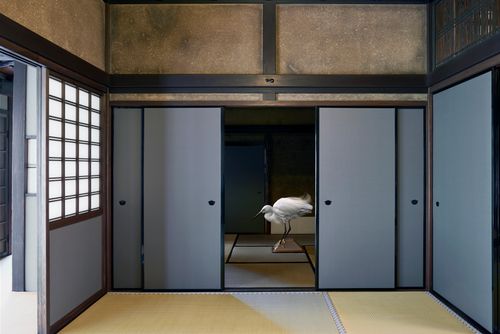 Only Once, Daitoku-ji, Obai-in, Kyoto, 2018