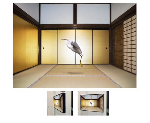 No Other Than Emptiness, Daitoku-ji, Obai-in, Kyoto, 2018