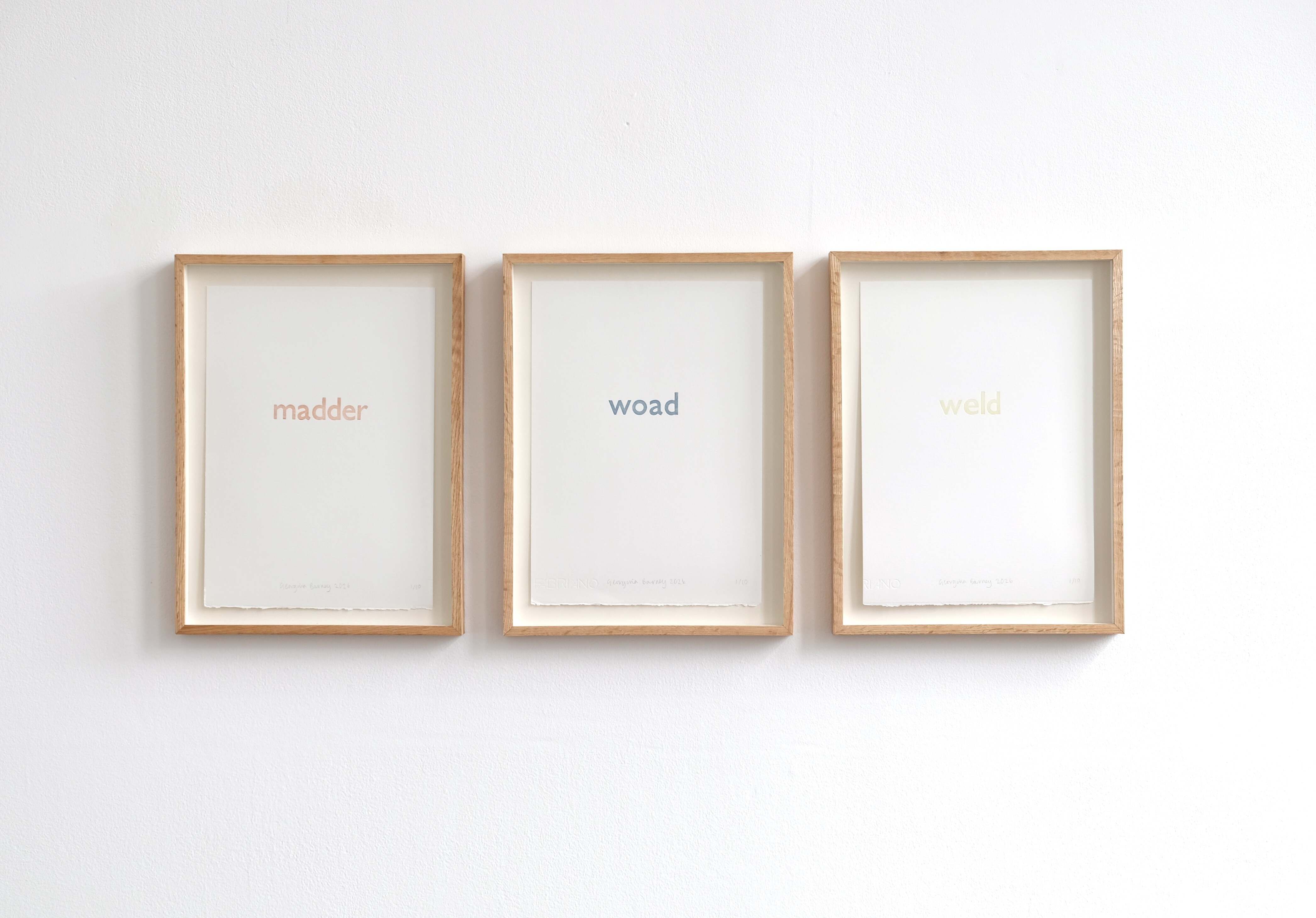 Georgina Barney - It is what it says it is (Madder, Weld & Woad) - ed.10 - £500