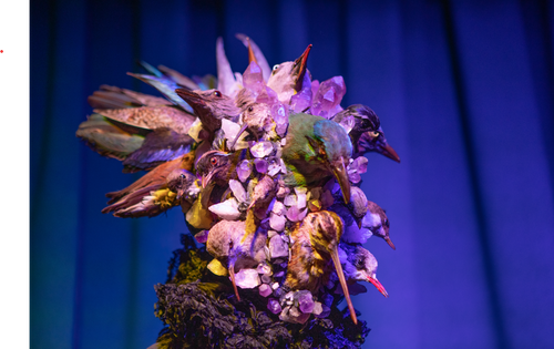 The Lady with The Bird Head