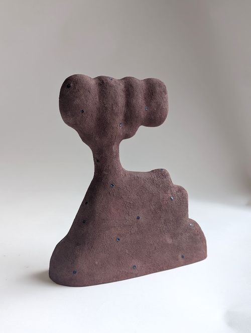 Spotted Sentry, 2025