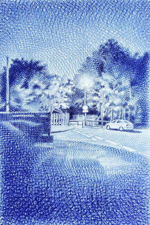 Bloom of Night (2025)