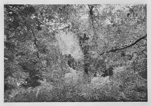 Lost Gardens of Heligan