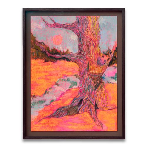 Counting Clouds with Papa 2024