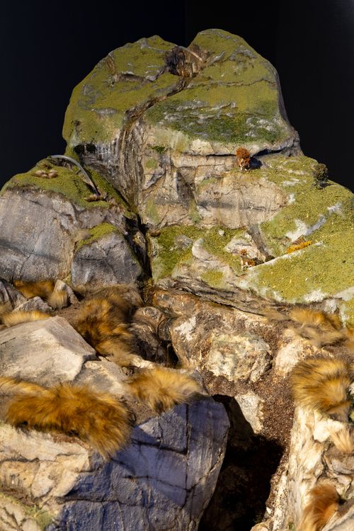 Sketch for Karst Window (2025)