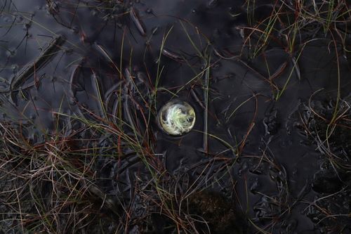 Accumulation in the Mire