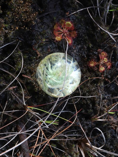 Accumulation in the Mire