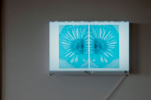 ...some of us are looking at the stars