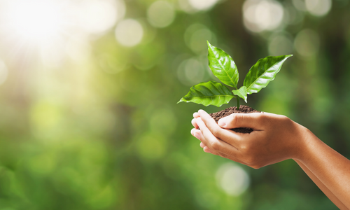Why sustainability is a non-stop process