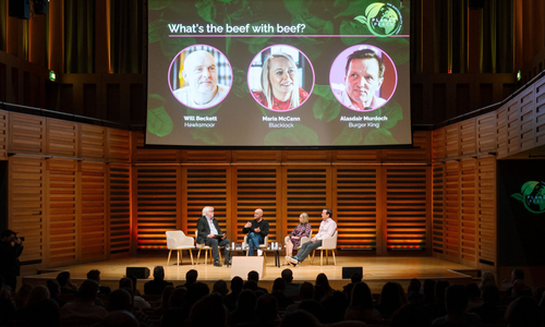 What we learned at Planet Peach: Six key insights for hospitality