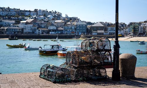 A sea-change for sustainable menus