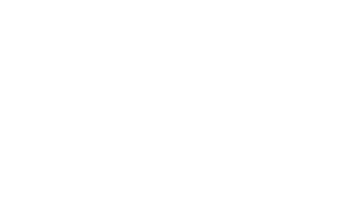 Crisis Intelligence