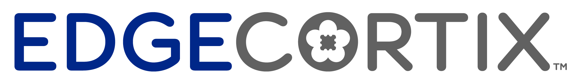EdgeCortix Inc.