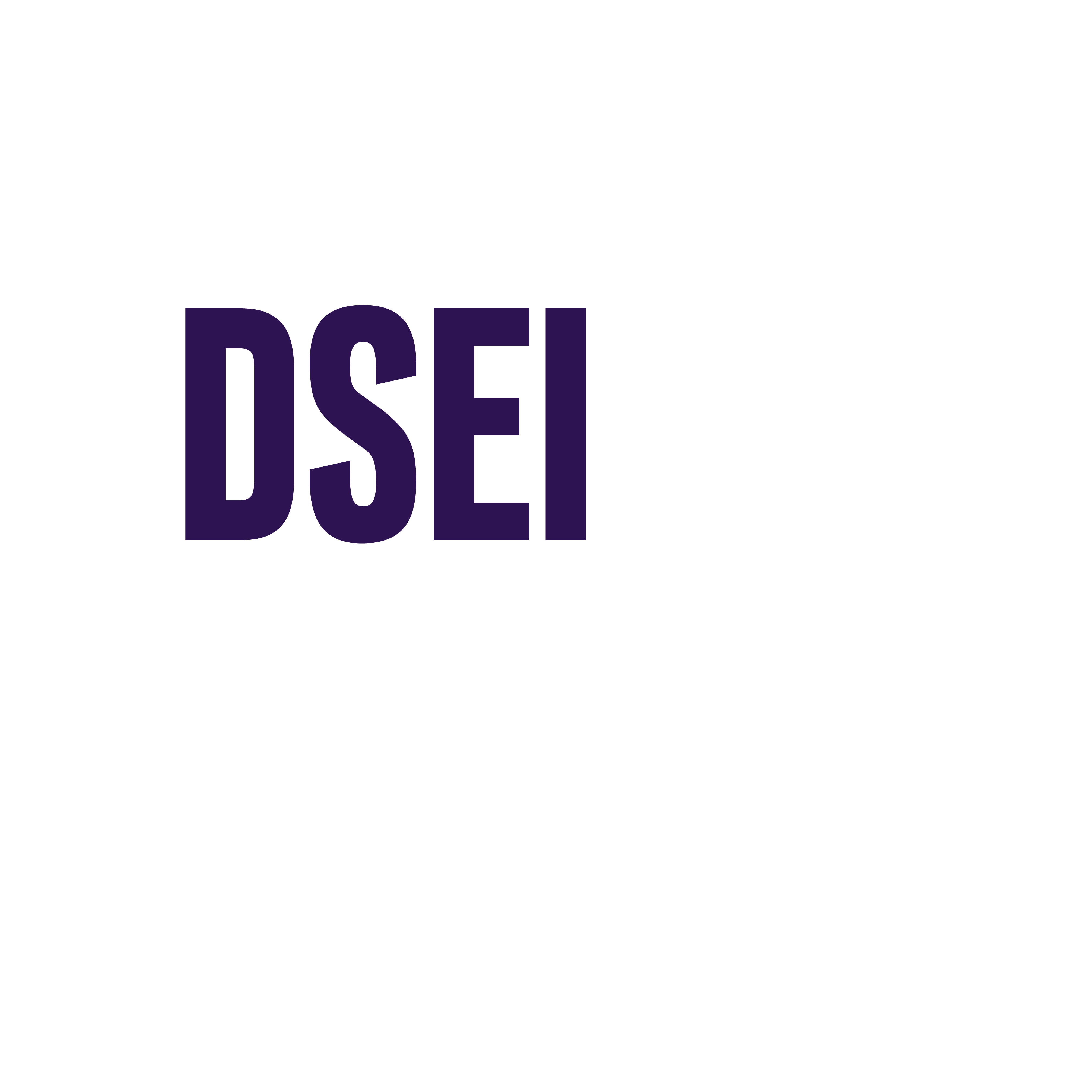 DSEI logo