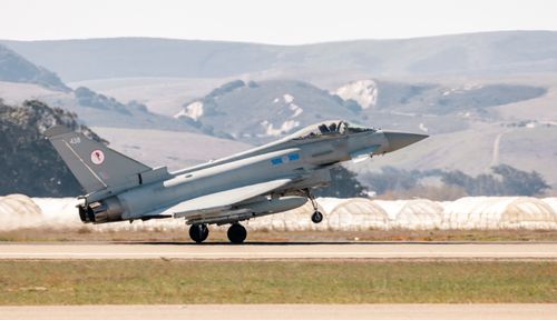Typhoons trialling new decision support tool from Swedish startup
