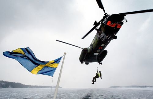 Sweden outlines procurement priorities