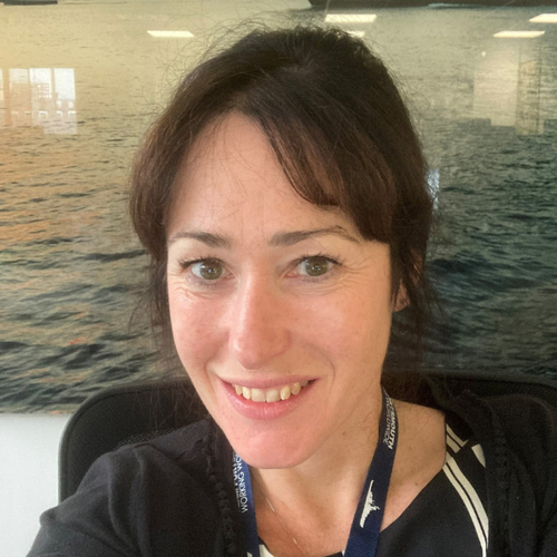 Rachel Smallwood MBE MA MSc Chartered FCIPD - BAE Systems