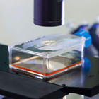 Lentiviral vector development and manufacturing