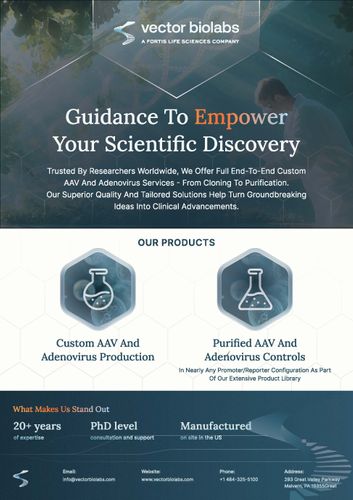 Custom AAV & Adenovirus production and Controls
