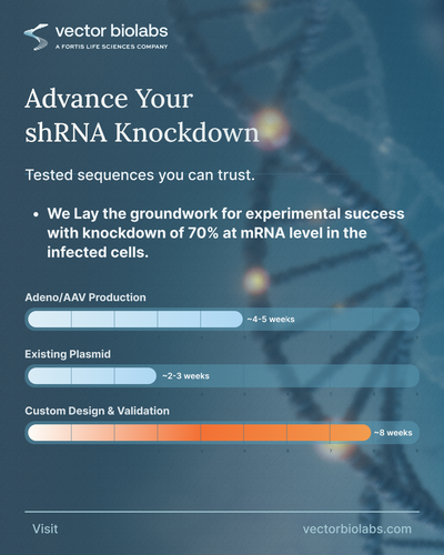 shRNA Design, Screening & Validation