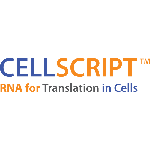 CELLSCRIPT
