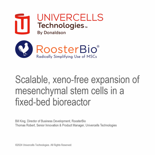 Scalable, xeno-free expansion of mesenchymal stem cells in a fixed-bed bioreactor