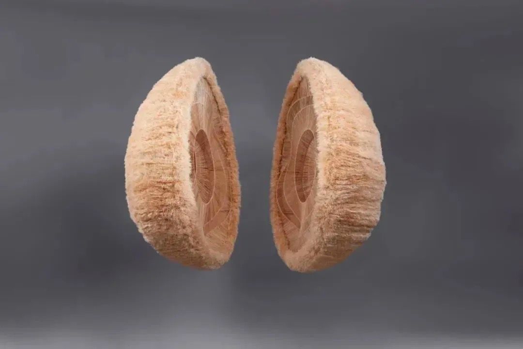 《盈虚》