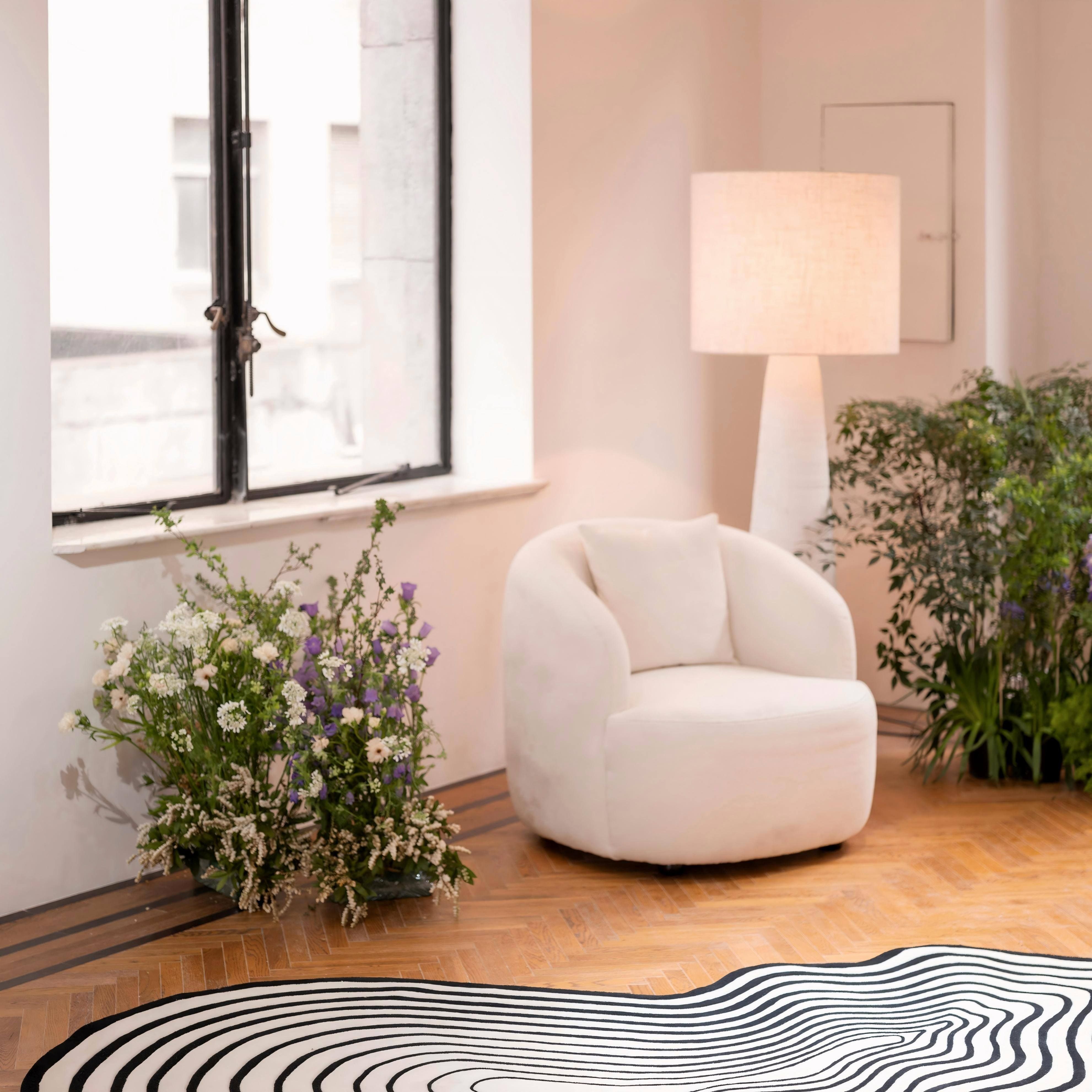 The Parrot 鹦鹉空间