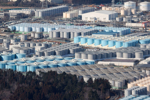 日本排放核废水，海洋生物的未来会如何？