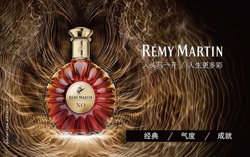 设计上海官方独家烈酒合作伙伴Remy Martin人头马