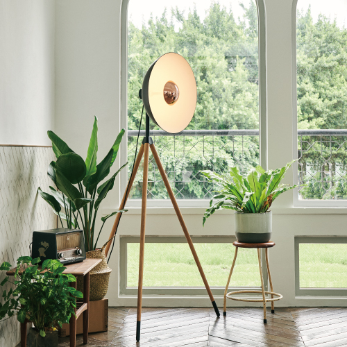 SEEDDESIGN