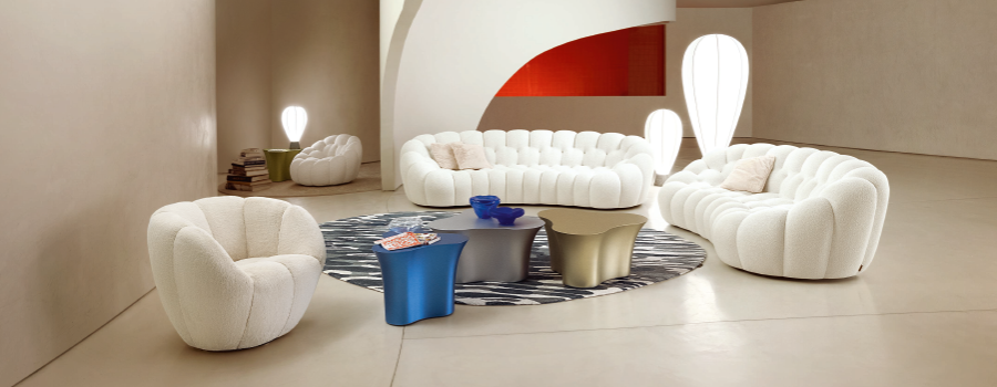 roche bobois