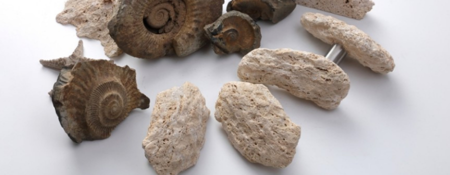 ABC-STONE