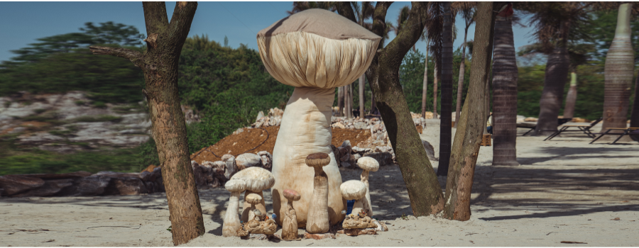 Hangzhou Weiwenwu Cultural Creative Co., LTD