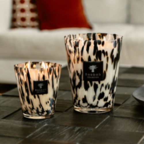 Baobab Collection