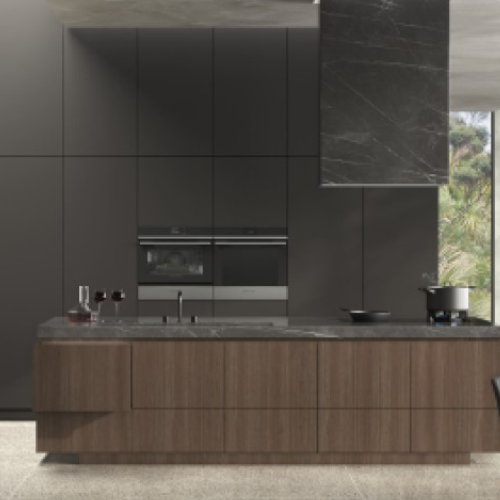 Fisher & Paykel
