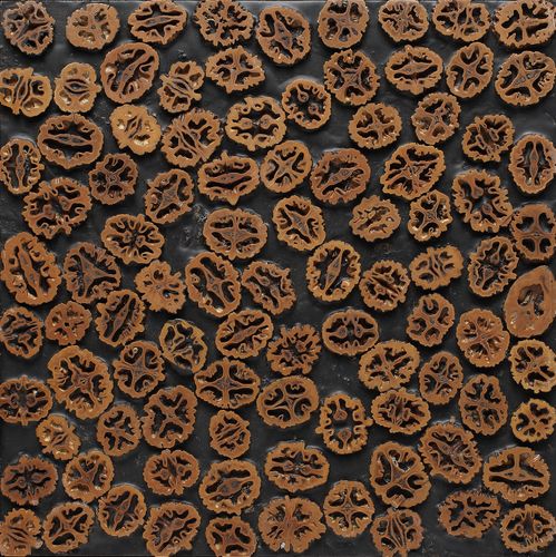 Walnut mosaic wall decoration tile by Linda Li